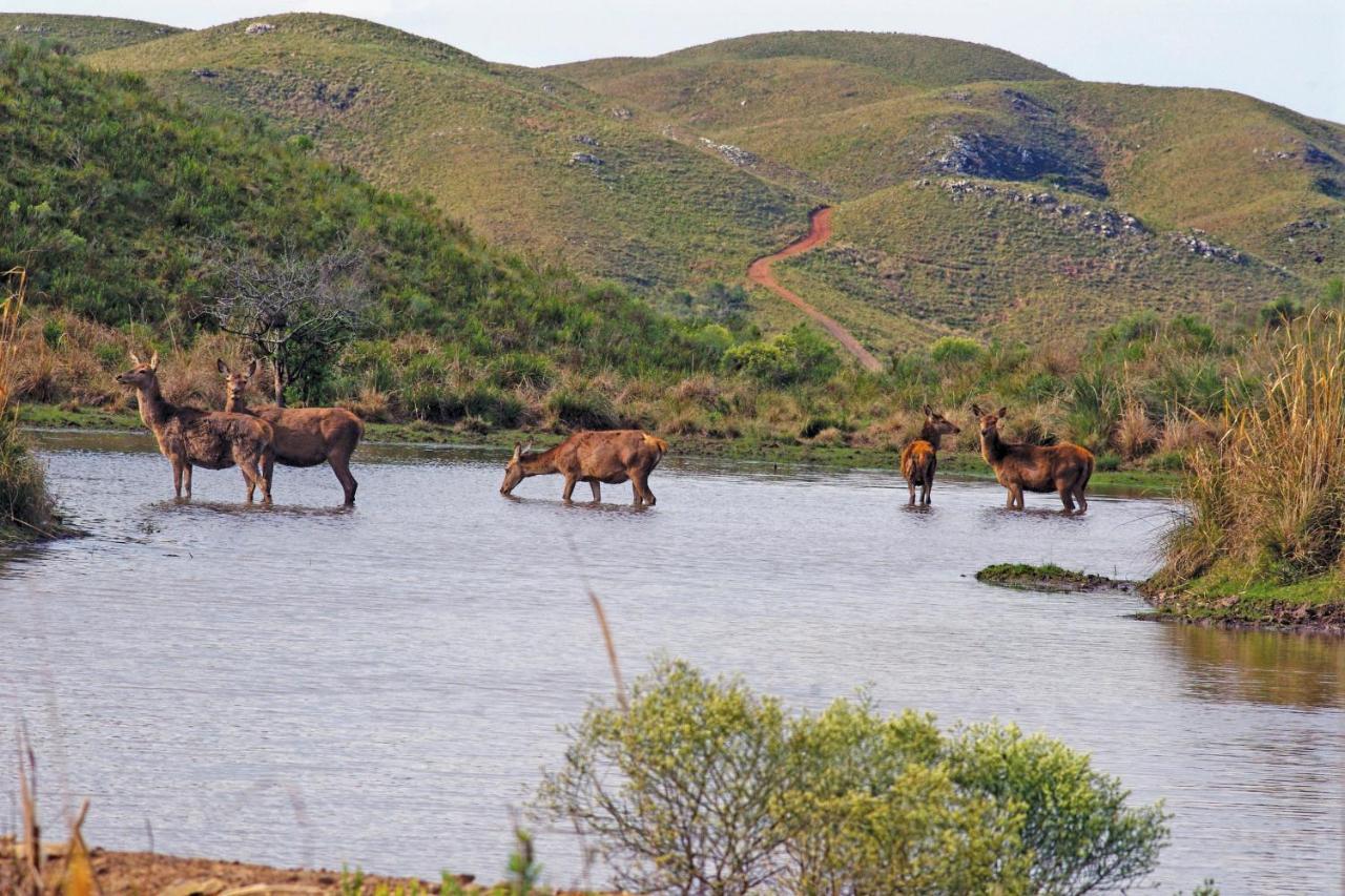 Rincon De Los Matreros Isla Patrulla Екстериор снимка
