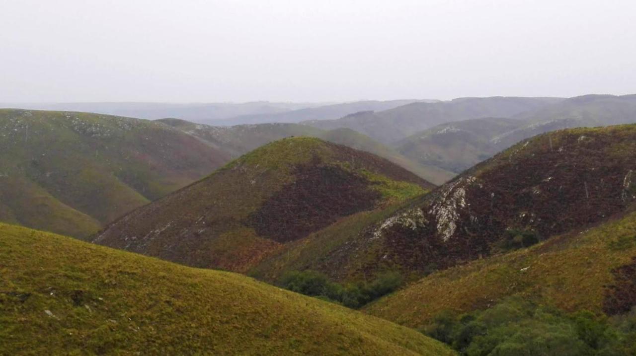 Rincon De Los Matreros Isla Patrulla Екстериор снимка